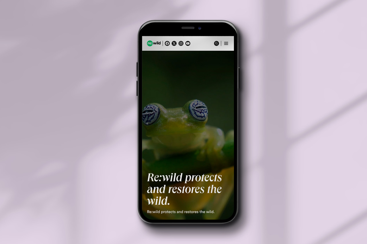 Qualification image 2